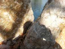 mopana-white-beautiful-rocks-07