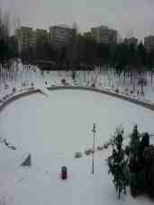 snow-in-the-park-06
