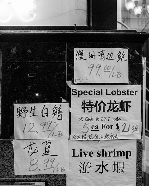 milford-street-special-lobster-bw